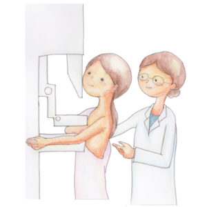 乳がん検診（マンモグラフィー）の流れ